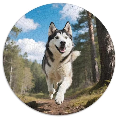 HuskiesPuzzle Für ErwachseneKinder Ab Puzzles 1000 Teile Haustier HundGeschenk, Hobby1000pcs (67.5x67.5cm) von OWBASKPOZ