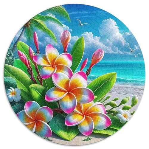 Küstenlandschaft1000 Teile Erwachsen Puzzle Erwachsene Puzzles Geschenkideenpiele FürFamilie1000pcs (67.5x67.5cm) von OWBASKPOZ