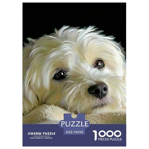 Netter Hund Puzzle 1000 Teile Schwer Puzzle Spielzeug Lernspiel Impossible Herausforderung Spielzeug Für Erwachsene Und Kinder in Bewährter 70x50cm/1000pcs Netter Hund Puzzle 1000 Teile Schwer Puzzle Spielzeug Lernspiel Impossible Herausforderung Spielzeug Für Erwachsene Und Kinder in Bewährter 70x50cm/1000pcs von OWBASKPOZ