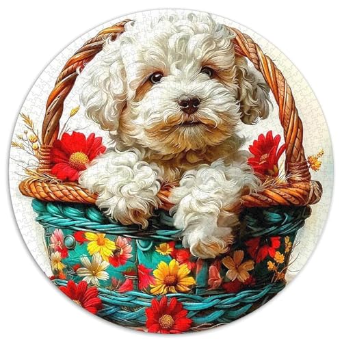 Netter Hund1000 Teile Puzzle Puzzlesfür ErwachseneKinder Ab Geschenk。Hobby1000pcs (67.5x67.5cm) von OWBASKPOZ
