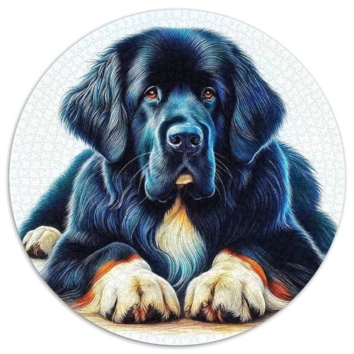 Netter HundJigsaw 1000 Teile Puzzle Puzzles ErwachsenenKinder AbGeschenki 1000pcs (67.5x67.5cm) von OWBASKPOZ