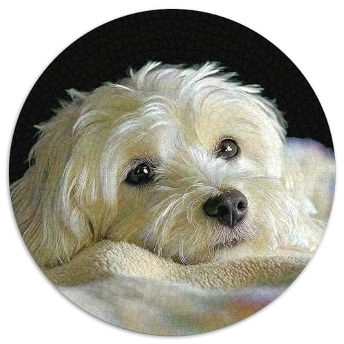 Netter HundPuzzle 1000 Teile Erwachsene Und Kinder Puzzles-Geschenk RundesRätsel Puzzel Game1000pcs (67.5x67.5cm) von OWBASKPOZ