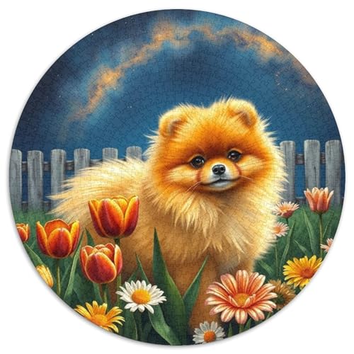Pommern1000 Teile Für Erwachsene Und Kinder Puzzle Jigsaw Lernspiel Haustier HundHerausforderungsspielzeug1000pcs (67.5x67.5cm) von OWBASKPOZ