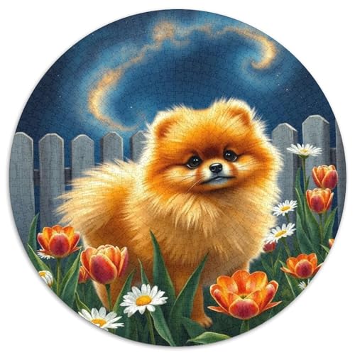 Pommern1000 Teile Für Erwachsene Und Kinder Puzzle Jigsaw Lernspiel Haustier HundHerausforderungsspielzeug1000pcs (67.5x67.5cm) von OWBASKPOZ