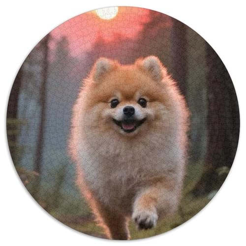 Pommern1000 TeilePuzzle Für Erwachsene Und Kinder Rundes Puzzles Haustier HundPuzzel Game Geschenk1000pcs (67.5x67.5cm) von OWBASKPOZ