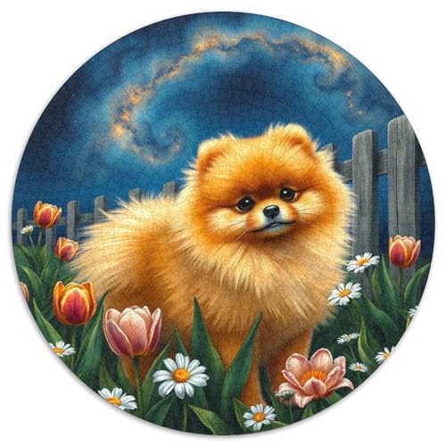 Pommern1000 TeilePuzzle Für Erwachsene Und Kinder - Rundes PuzzlesPuzzelHaustier Hund Game Geschenk1000pcs (67.5x67.5cm) von OWBASKPOZ