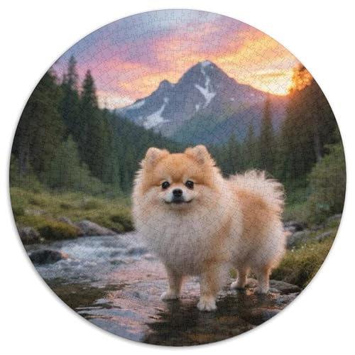 Pommern1000 Teilen Puzzles FürErwachseneKinder AbGeschenk, Haustier HundHobbyPuzzle1000pcs (67.5x67.5cm) von OWBASKPOZ