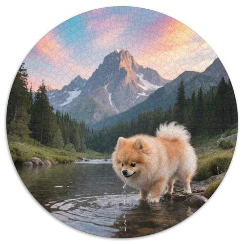 PommernJigsaw 1000 Teile Für Erwachsene Und Kinder, Puzzle 1000 Teile Puzzles Haustier HundGameGeschenk,1000pcs (67.5x67.5cm) von OWBASKPOZ