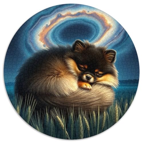 PommernJigsaw 1000 Teile PuzzleHaustier Hund Puzzles ErwachsenenKinder AbGeschenki 1000pcs (67.5x67.5cm) von OWBASKPOZ