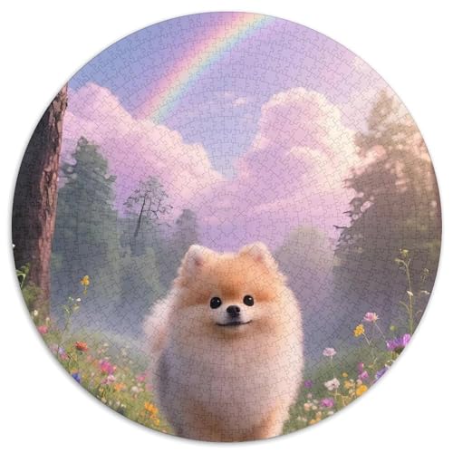 PommernPuzzle 1000 Teile Erwachsene Und Kinder Haustier HundPuzzles-Geschenk RundesRätsel Puzzel Game1000pcs (67.5x67.5cm) von OWBASKPOZ