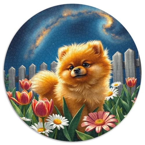 PommernPuzzle 1000 Teile Für Erwachsene Und Kinder,Haustier HundJigsaw GameGeschenk,1000pcs (67.5x67.5cm) von OWBASKPOZ