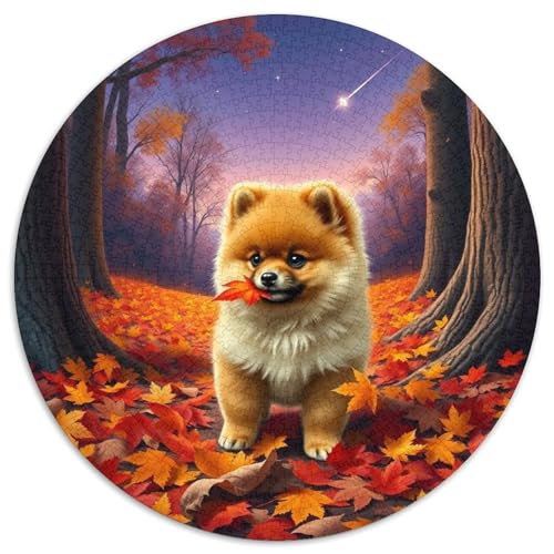 PommernPuzzle 1000 Teile Puzzles Für Lernspiel Herausforderungsspielzeug TeiligeHaustier Hund Für Erwachsene KinderJigsaw1000pcs (67.5x67.5cm) von OWBASKPOZ