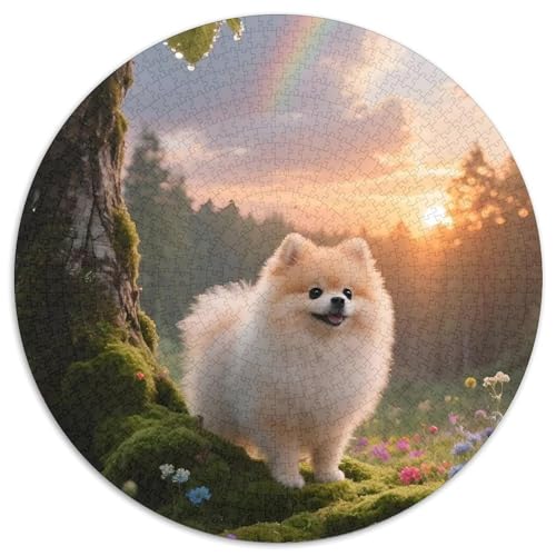 PommernPuzzle Für ErwachseneKinder Ab Puzzles 1000 Teile Haustier HundGeschenk, Hobby1000pcs (67.5x67.5cm) von OWBASKPOZ