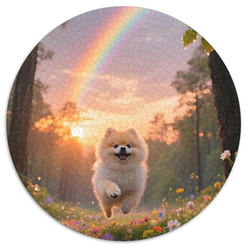 PommernRundes Puzzle Haustier HundPuzzles 1000 Stück Spielzeug Für Erwachsene & Kinder, Bildungs-, Kreativ Erwachsene Stress Release Spielzeug1000pcs (67.5x67.5cm) von OWBASKPOZ