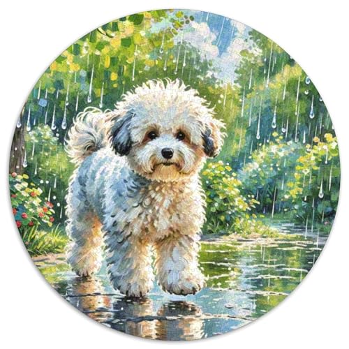 Puzzle 1000 Teile Für Erwachsene Und Kinder,1000 Teile Jigsaw Haustier HundPuzzles GameGeschenk1000pcs (67.5x67.5cm) von OWBASKPOZ