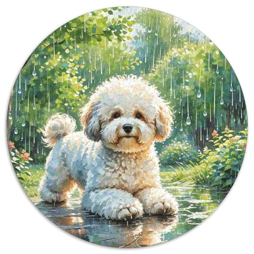 Puzzle 1000 Teile Für Erwachsene Und Kinder,Haustier HundJigsaw GameGeschenk,1000pcs (67.5x67.5cm) von OWBASKPOZ