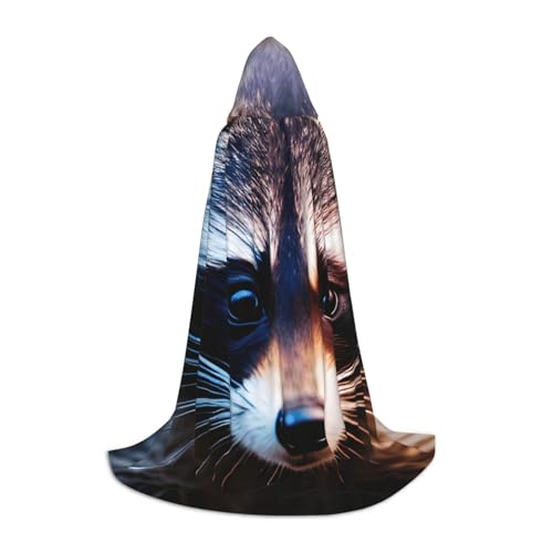 OXKGHHO Langer Umhang mit Kapuze, Vampir- und Halloween-Kostüme, perfekt für Rollenspiele und Partys OXKGHHO Langer Umhang mit Kapuze, Vampir- und Halloween-Kostüme, perfekt für Rollenspiele und Partys von OXKGHHO