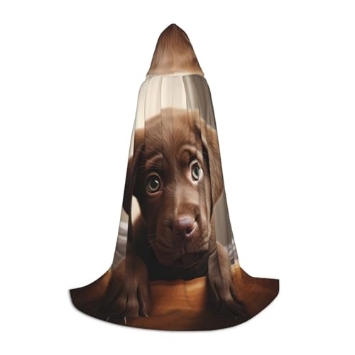 OXKGHHO Langer Umhang mit niedlichem Labrador-Hunde-Druck, mit Kapuze, Vampir- und Halloween-Kostüme, perfekt für Rollenspiele und Partys von OXKGHHO