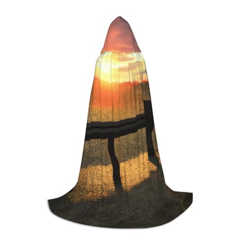 OXKGHHO Lonely Bench Sonnenuntergangs-Druck, langer Umhang mit Kapuze, Vampir- und Halloween-Kostüme, perfekt für Rollenspiele und Partys von OXKGHHO