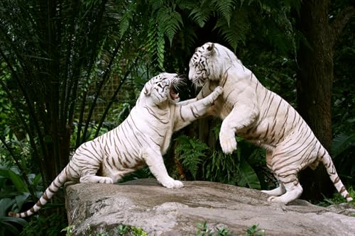 OZLHSP Geschenk Junge 3D Puzzle 1500 Teile Tiger Tier 87x57cm von OZLHSP