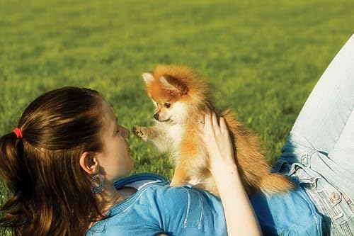 OZLHSP Jigsaw Puzzle 1000 Teile Spitz Welpen Tiere 75x50cm OZLHSP Jigsaw Puzzle 1000 Teile Spitz Welpen Tiere 75x50cm von OZLHSP