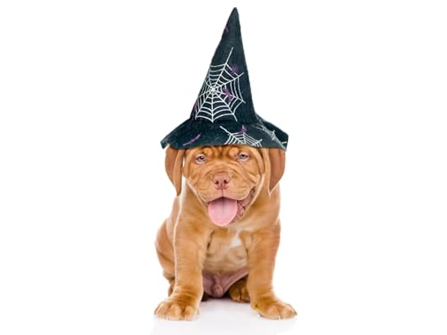 OZLHSP Memory für Erwachsene Puzzel 500 Teile Bordeaux-Hund 52x38cm von OZLHSP