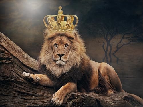 OZLHSP Puzzel 1500teile Erwachsene Löwen Tiere 87x57cm von OZLHSP