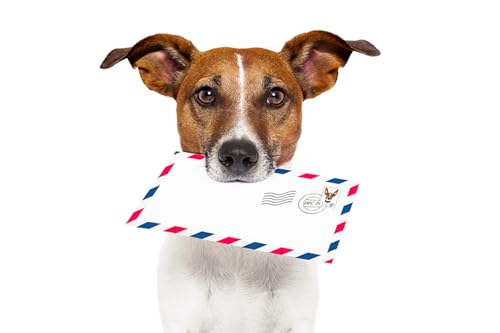 OZLHSP Puzzle Kinder 1000teile Kinder Tiere Buchstaben Umschlag 75x50cm von OZLHSP