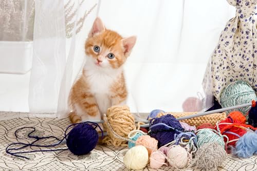 OZLHSP Puzzle ab 1000 Teile Kätzchen Tier 75x50cm OZLHSP Puzzle ab 1000 Teile Kätzchen Tier 75x50cm von OZLHSP