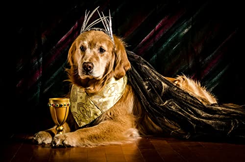 OZLHSP Puzzle ab mädchen Puzzle 500 Teile Golden Retriever Tiere 52x38cm von OZLHSP