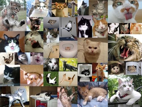 OZLHSP Puzzle ab mädchen Puzzle 500 Teile Katze Tier 52x38cm OZLHSP Puzzle ab mädchen Puzzle 500 Teile Katze Tier 52x38cm von OZLHSP