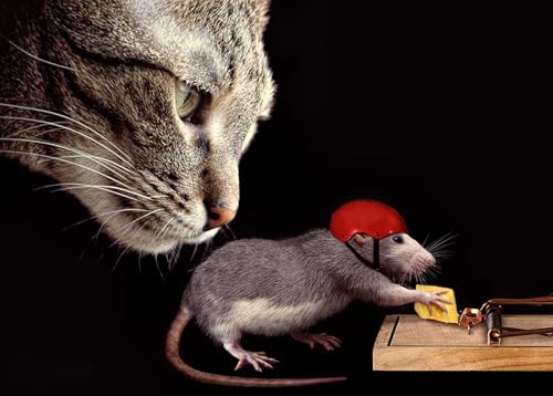 OZLHSP Puzzle mädchen 3D Puzzle 1000 Teile Katzen Ratten Helm Käse Tiere 75x50cm OZLHSP Puzzle mädchen 3D Puzzle 1000 Teile Katzen Ratten Helm Käse Tiere 75x50cm von OZLHSP