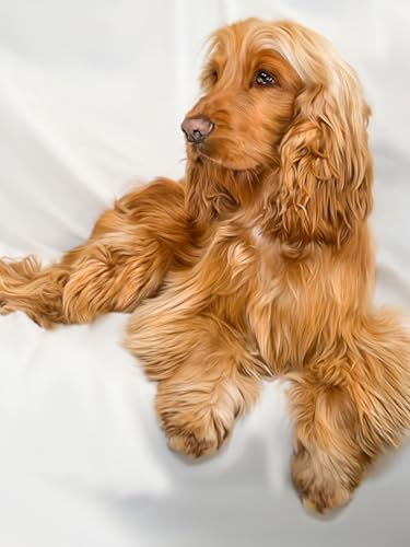 OZLHSP Puzzle mädchen 3D Puzzle 500 Teile Spaniel Tier 52x38cm von OZLHSP