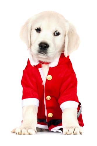 OZLHSP Spiel des Jahres Erwachsene Puzzle 1000 Teile Retriever Tier 75x50cm von OZLHSP
