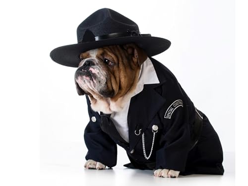 OZLHSP Spiel des Jahres Puzzle 1000 Teile Tiere Polizei Bulldog 75x50cm von OZLHSP