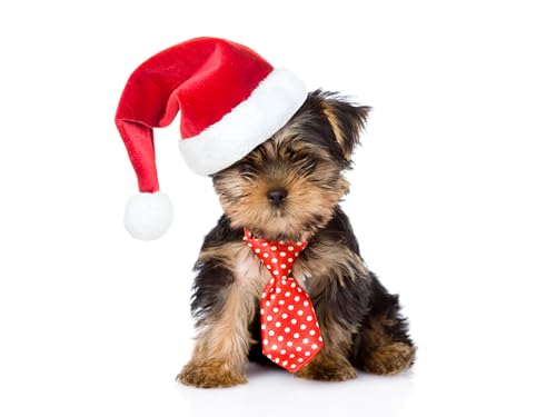 OZLHSP Spiel des Jahres Puzzle 1000 Teile Yorkshire 75x50cm von OZLHSP