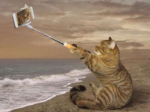 OZLHSP Spiel mädchen 3D Puzzle 1500 Teile Katzen 87x57cm von OZLHSP