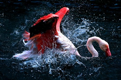 OZLHSP Spiele für Kinder 3D Puzzle 500 Teile Flamingo-Tier 52x38cm von OZLHSP