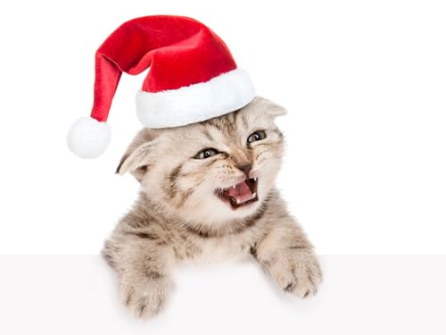 OZLHSP denkspiele für Erwachsene Puzzle 1500 Teile Kätzchen 87x57cm OZLHSP denkspiele für Erwachsene Puzzle 1500 Teile Kätzchen 87x57cm von OZLHSP