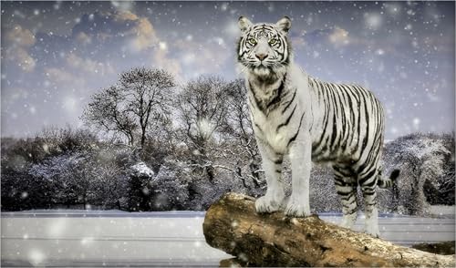 OZLHSP puzzle-500-teile Tiger Tier 52x38cm von OZLHSP