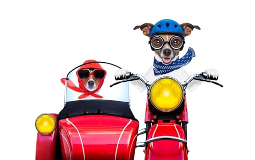 OZLHSP rätsel Puzzle 3D Puzzle 1000 Teile Helme Motorradfahrer 75x50cm OZLHSP rätsel Puzzle 3D Puzzle 1000 Teile Helme Motorradfahrer 75x50cm von OZLHSP