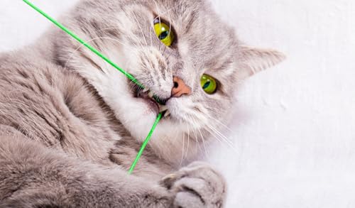 OZLHSP rätsel Spiel 3D Puzzle 1000 Teile Katzen Tier 75x50cm OZLHSP rätsel Spiel 3D Puzzle 1000 Teile Katzen Tier 75x50cm von OZLHSP