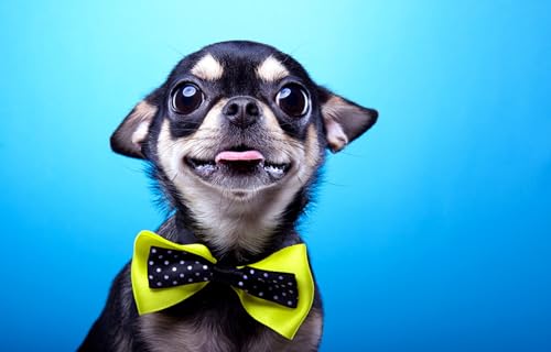 OZLHSP schweres Puzzle 1000 Teile Chihuahua Fliege Tier 75x50cm von OZLHSP