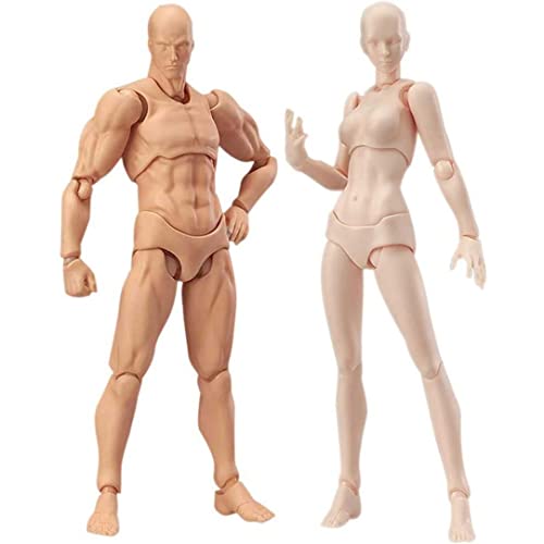 Obelunrp Aktionsfiguren, 2pcs PVC bewegliche Körper -Aktion -Figuren, Schaufensterpupplungsmodelle für Künstlerzeichnungssammlung (männlich+weiblich) von Obelunrp