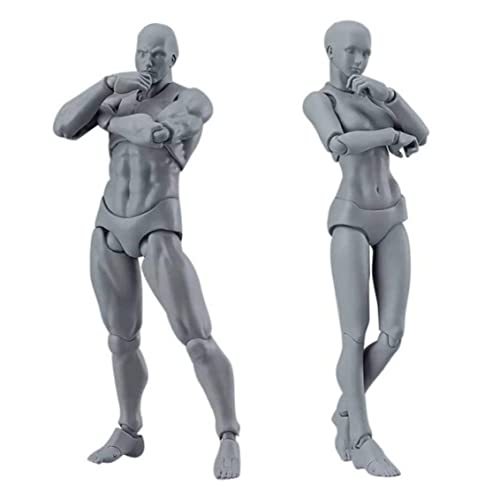 Obelunrp Leere Actionfigur, 2pcs 5.9 Zoll menschlicher Körper posiable Manikin -Modelle, menschliches Mannequin -Zeichnungsfiguren für Künstler, die skizzieren, malen, Zeichnen Obelunrp Leere Actionfigur, 2pcs 5.9 Zoll menschlicher Körper posiable Manikin -Modelle, menschliches Mannequin -Zeichnungsfiguren für Künstler, die skizzieren, malen, Zeichnen von Obelunrp