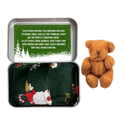 Weihnachtsbär in Einer Box, Plüschtier Taschenbär mit Karten und Steppdecken – Plüschtier Taschenbär Weihnachten Spielzeug Taschenbär mit Karten und Steppdecken, Puppen von Obesntln