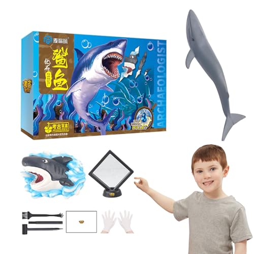 Wissenschaftliches Set für Fische, Entdeckungsset für Fische, wissenschaftliches Erziehungs-Set, Lern- und Bildungsspielzeug, Fischleben-Ausgrabungsset, wissenschaftliches Abenteuer Wissenschaftliches Set für Fische, Entdeckungsset für Fische, wissenschaftliches Erziehungs-Set, Lern- und Bildungsspielzeug, Fischleben-Ausgrabungsset, wissenschaftliches Abenteuer von Obesntln