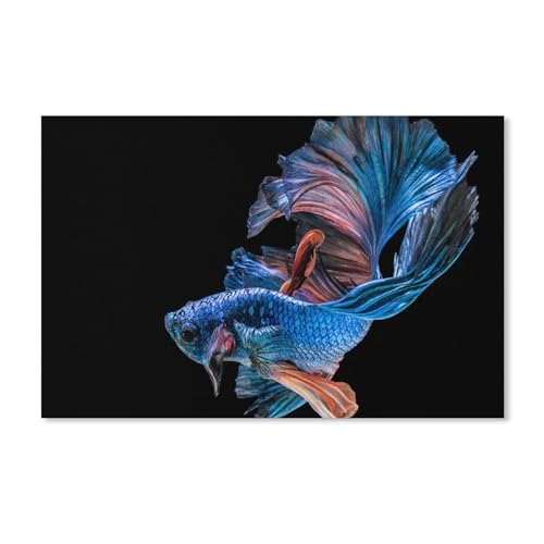 1000 Teile Puzzle Für Erwachsene Und Kinder，Blauer Fisch, schwarzer Hintergrund，Stressabbau Herausforderung Bodenpuzzle DIY Home Wanddekoration（38x26cm）-A260 von ObuMI