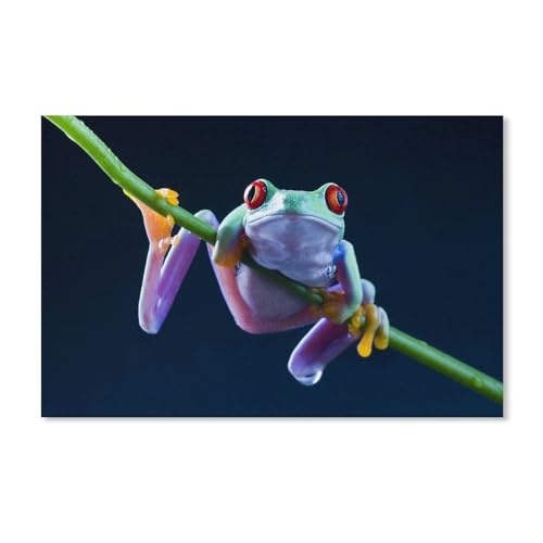 1000 Teile Puzzle Für Erwachsene Und Kinder，Frosch，Stressabbau Herausforderung Bodenpuzzle DIY Home Wanddekoration（38x26cm）-A187 von ObuMI