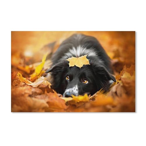 1000 Teile Puzzle Für Erwachsene Und Kinder，Schwarzer Hund, herbstliche rote Blätter，Stressabbau Herausforderung Bodenpuzzle DIY Home Wanddekoration（38x26cm）-A114 von ObuMI